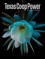 Texas Co-op Power Editorial Calendar thumbnail
