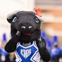 a fun high school bull mascot