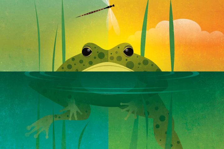 A Town Called Toadsuck