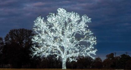 Field of Beams | Texas Co-op Power