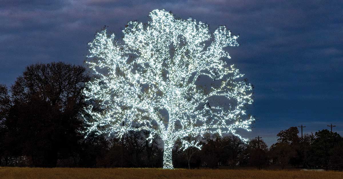 Field of Beams | Texas Co-op Power
