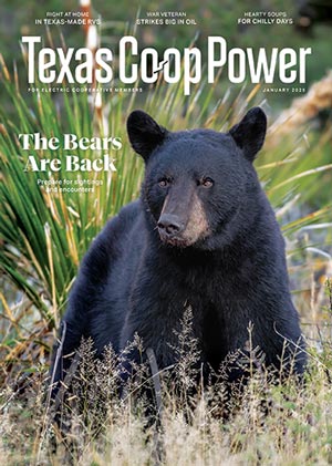 January 2025 Issue of Texas Coop Power