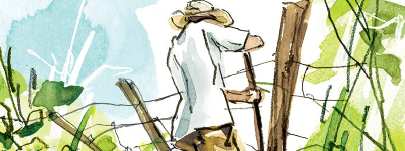watercolor of man working at an overgrown fence line