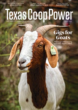 Cover of Texas Coop Power Magazine