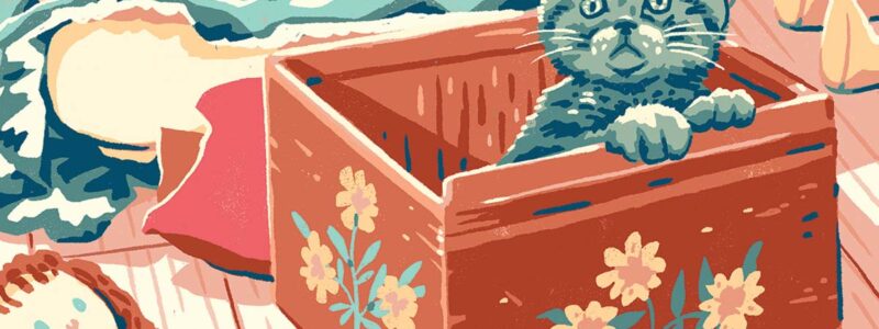 a kitten peers out of a painted wooden box