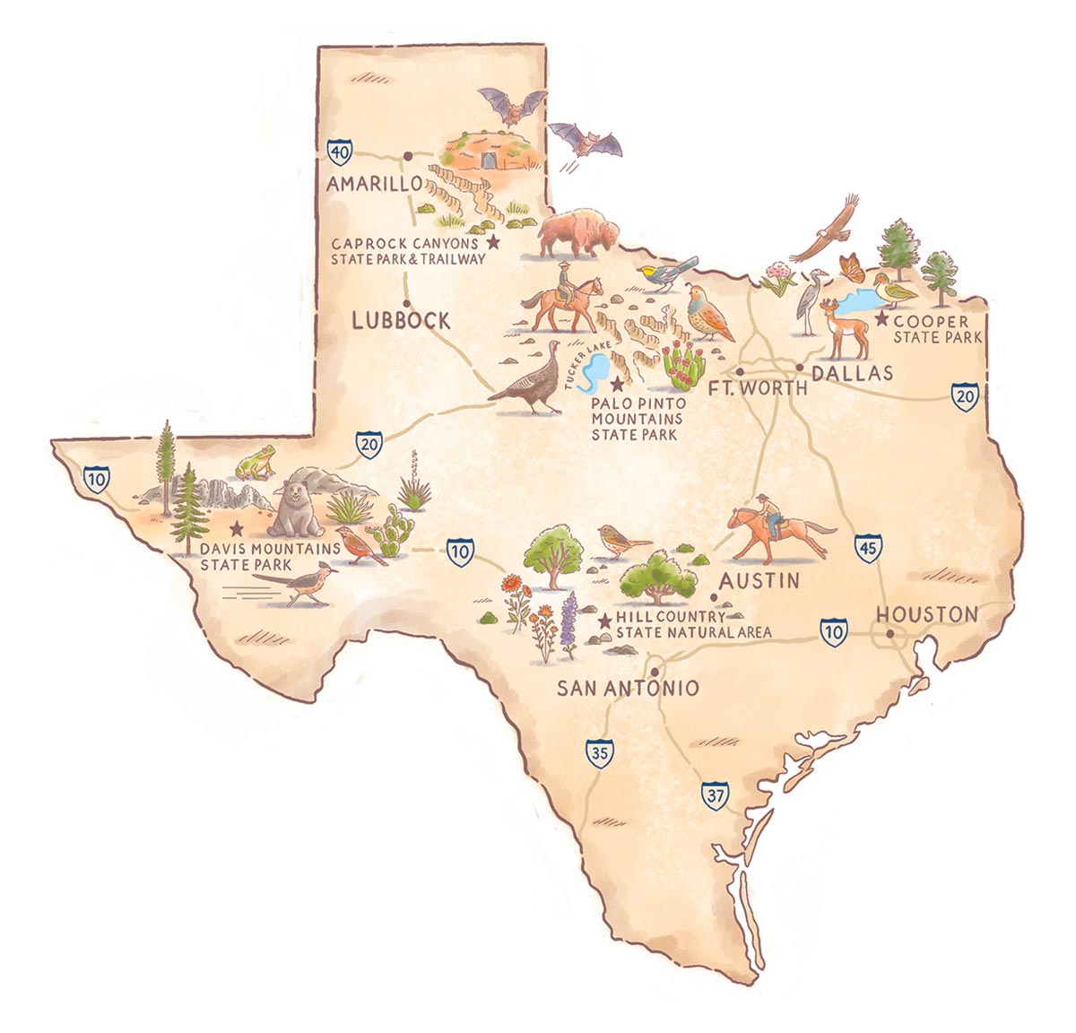 Vintage-style map illustration featuring horse trails and wildlife/nature icons