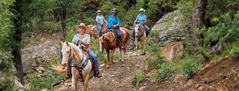 Mounts in the Hills | Texas Co-op Power