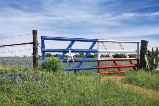 A metal gate with slats painted like the Texas flag