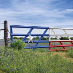 A metal gate with slats painted like the Texas flag