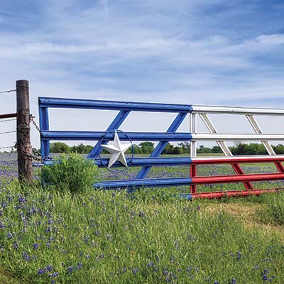 A metal gate with slats painted like the Texas flag