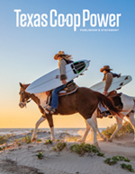 Texas Co-op Power AAM Publisher's Statement cover thumbnail