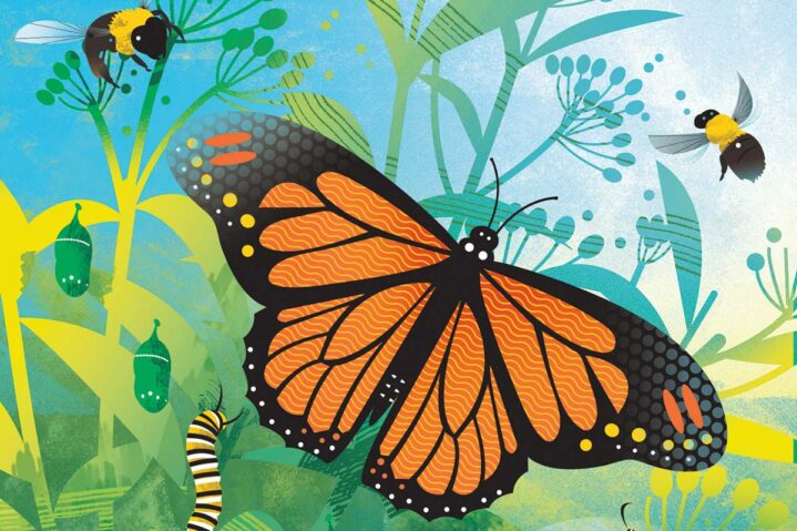 Nature Nurtures—And It Buzzes