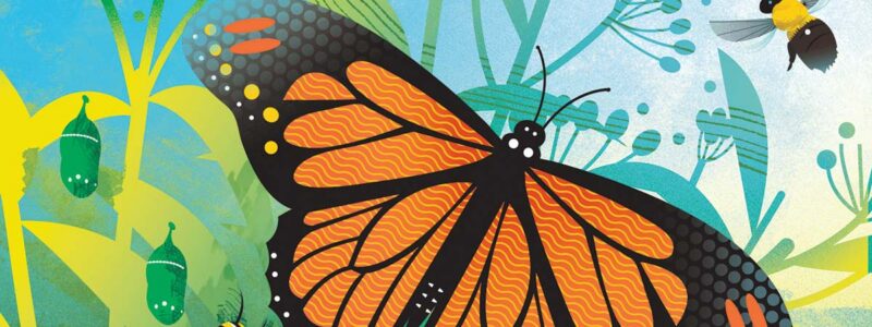 Illustration of monarch butterfly, cicada, caterpillar and bees