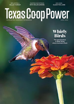 April 2026 Issue of Texas Coop Power