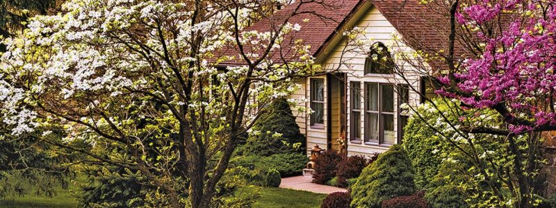 A house shaded by colorful blooming trees