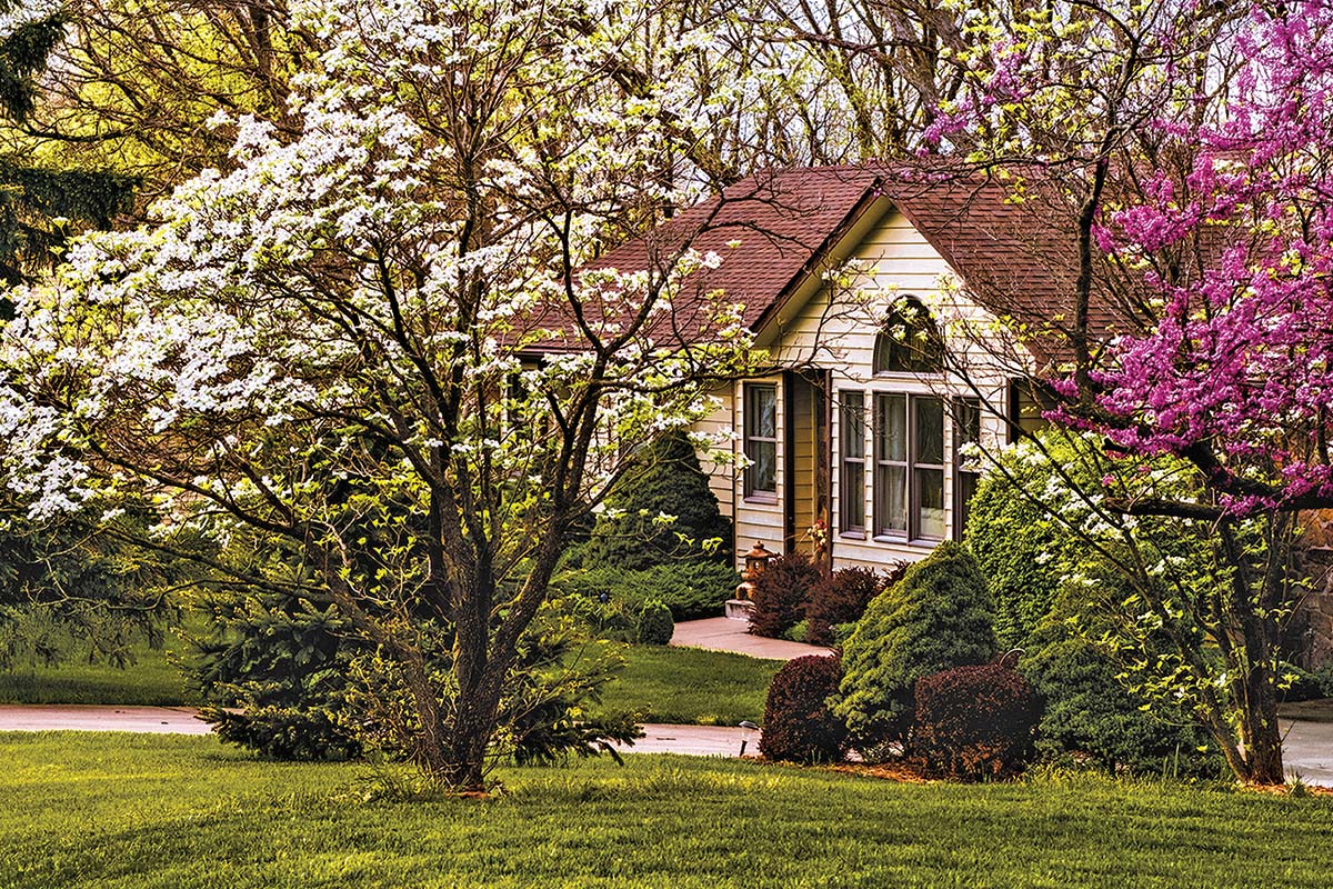 A house shaded by colorful blooming trees
