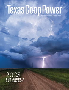 Texas Co-op Power AAM Publisher's Statement thumbnail