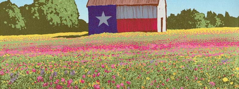 illustration of a barn painted like the Texas flag standing in a colorful field of wildflowers