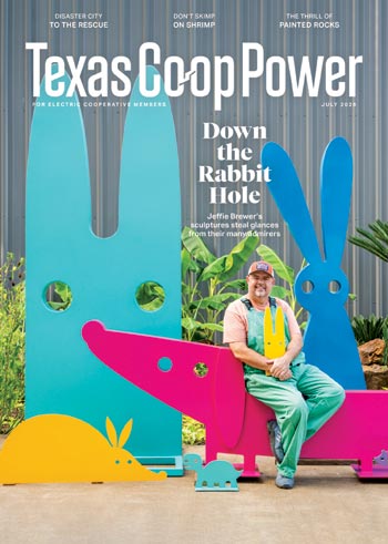 Texas Coop Issue July 2026