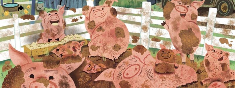 illustration of happy farm pigs in the mud