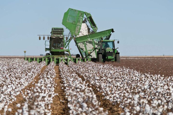 Keys to a Safe Harvest