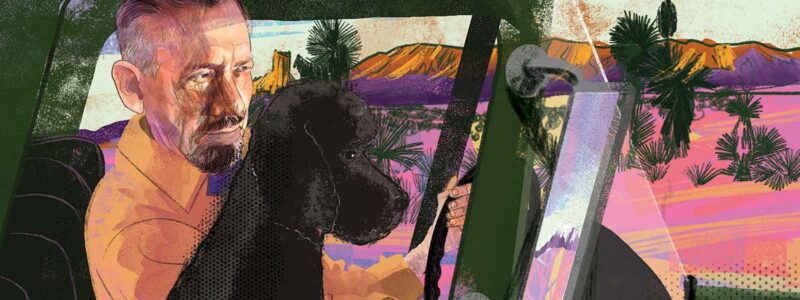 Illustration of a man driving a pickup truck with a poodle by his side