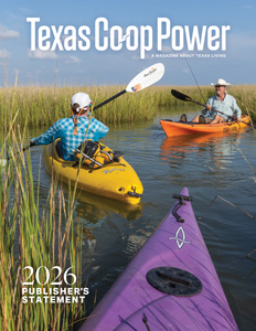 Texas Co-op Power AAM Publisher's Statement thumbnail